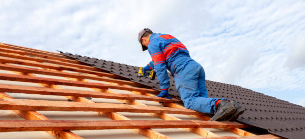 Best Roof Insulation Installation  in Roswell, GA